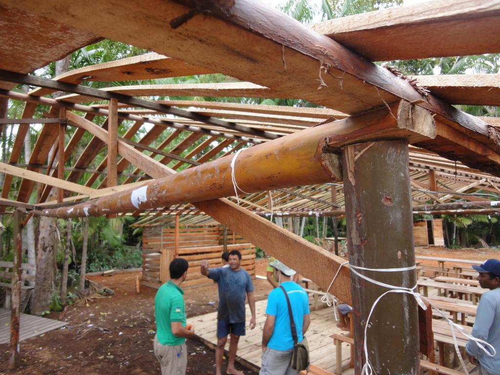7 Foto: Bruno Costa do Rosário Figura 5. Construção rústica confeccionada por agroextrativista que mora na beira de rio do Município de Gurupá, PA, utilizando madeira roliça de pau-mulato.