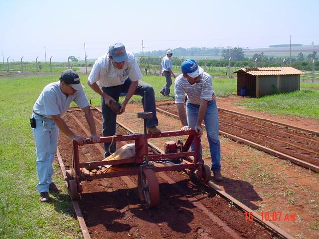 Cultura da soja em função da profundidade de semeadura e da carga vertical sobre a fileira de semeadura 489 O preparo do solo foi efetuado um dia antes da instalação do ensaio com um trator de