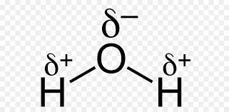 Solvente universal H 2 O (molécula possui alta polaridade, e dessa maneira, grande poder de dissolver