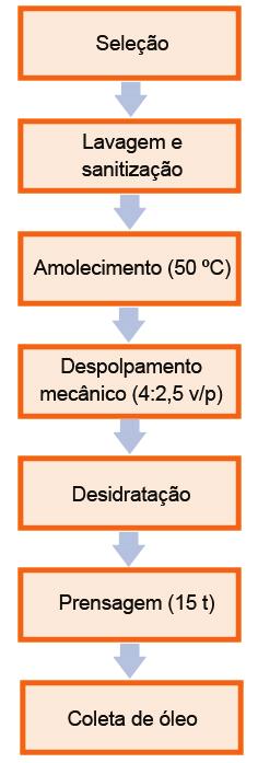 Processamento de bacaba para obtenção de óleo do mesocarpo.