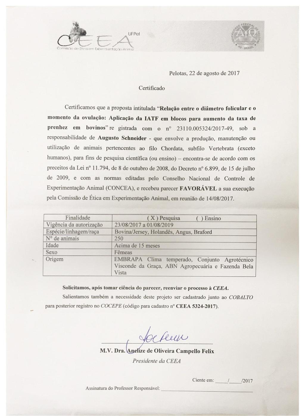Anexo I - Documento da Comissão