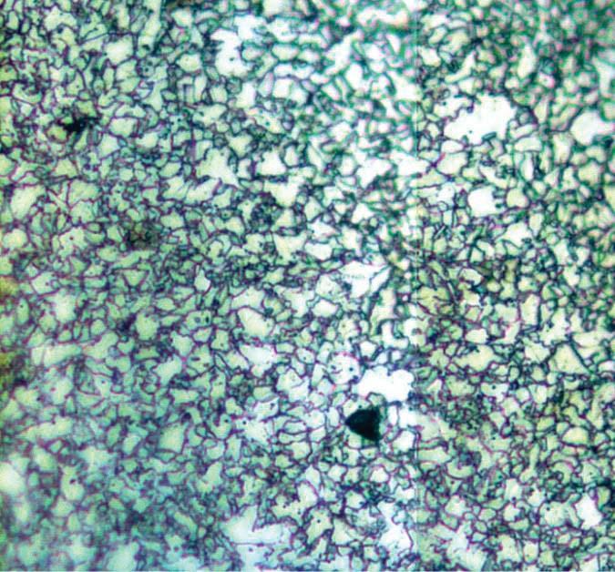 109 Na micrografia do MB, podem ser