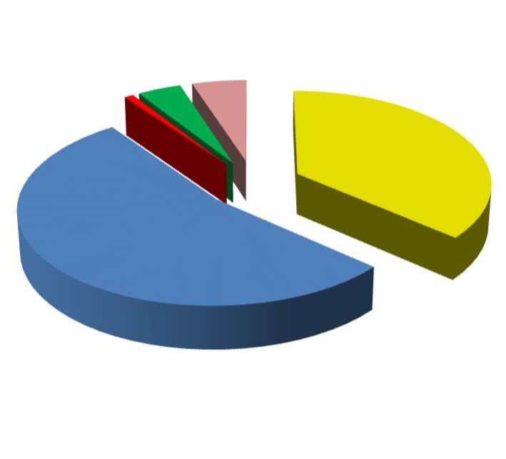 4.3 DISTRIBUIÇÃO POR INSTITUIÇÃO FINANCEIRA SEGMENTO VALOR APLICADO (em R$) Percentual sobre Patrimônio Líquido RPPS Banco do Brasil 47.277.394,88 36,4% Caixa Econômica Federal 69.639.