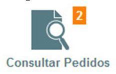 disponíveis na tela inicial antes da realização do acesso ao sistema. A tela também apresenta o nome completo do usuário que está acessado no sistema, sendo esta apresentada abaixo da aba Sair.