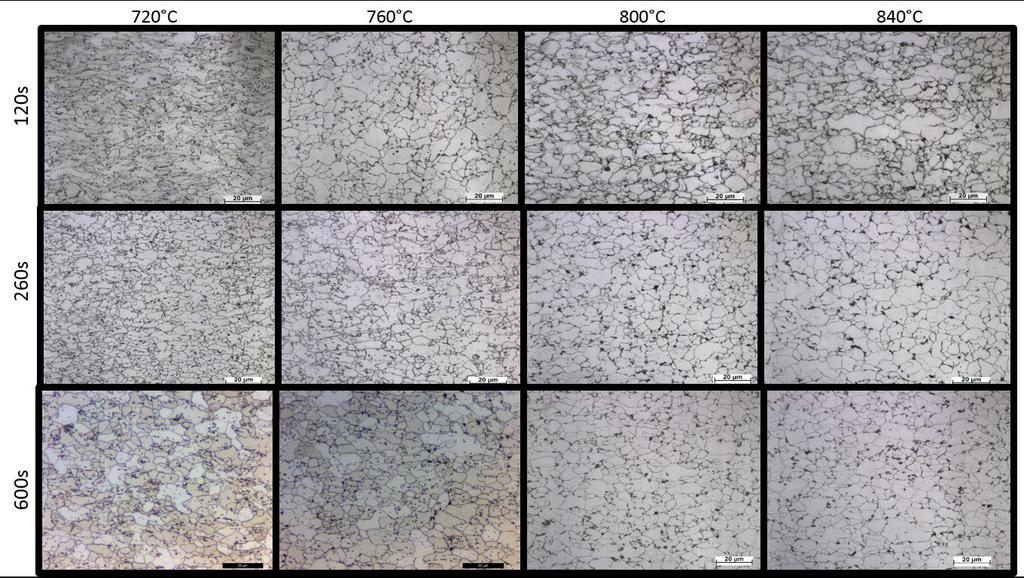 possíveis de visualizar, pois são muito pequenos, sendo necessário a utilização de Microscópio Eletrônico de Transmissão (MET).