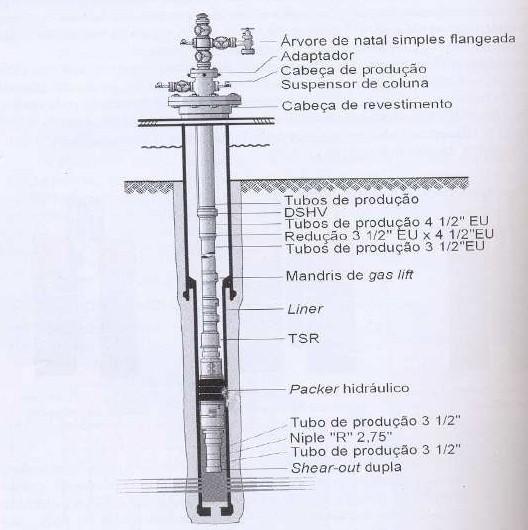 3 Sonda Dedicada e o Ganho de Flexibilidade 48 Os poços injetores auxiliam a produção dos poços produtores, pois mantêm a pressão da rocha reservatório através da injeção de fluidos (água, gás e/ou