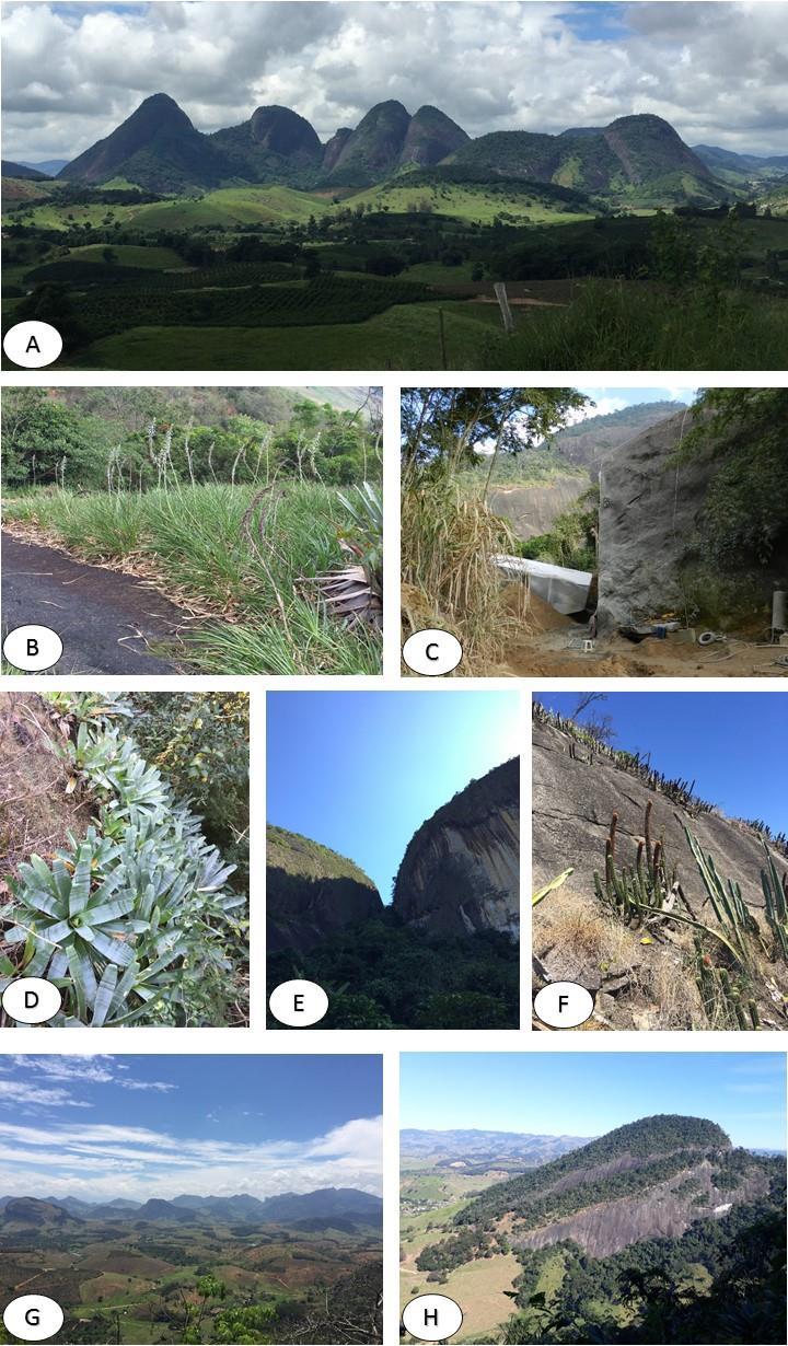 9 Figura 2: Vista panorâmica da área de estudo, das comunidades vegetais e de seu entorno. A. Vista geral do complexo Pedra das Andorinhas; B.