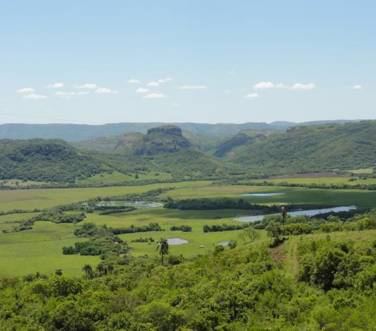 Esta paisagem foi originada por diferentes fenômenos geológicos, como movimentações tectônicas e processos