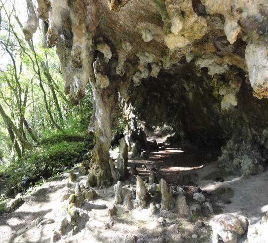 carbonático, originaram um grande conjunto de estalactites e estalagmites.