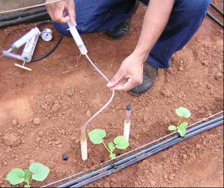 - Manejo da fertirrigação controle de agroquímicos Uso de extratores de solução do solo - O monitoramento da fertirrigação e o controle de nutrientes em solos