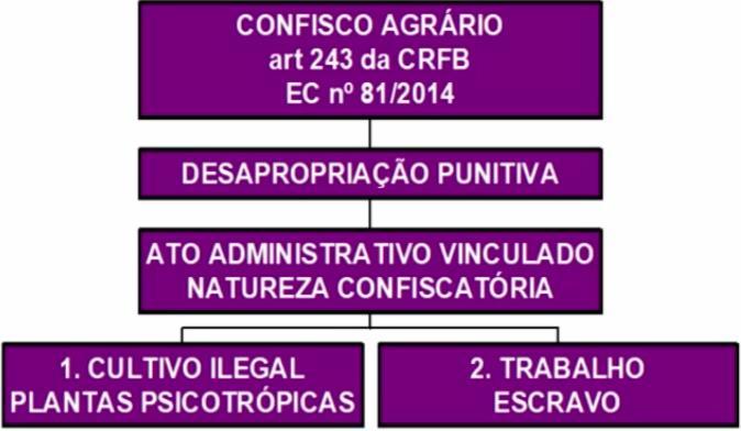 Página9 na desapropriação sanção urbanística, o justo seria o previsto no art. 8.º, 2.º (isto é, a indenização com a exclusão de determinadas parcelas). 3. Confisco agrário (art.