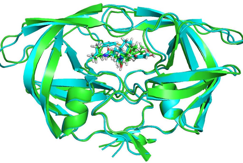 48 Figura 19: Sobreposição das estruturas 1OHR (Nativa com inibidor em verde) e D30N (enzima com mutação no resíduo 30 em azul).