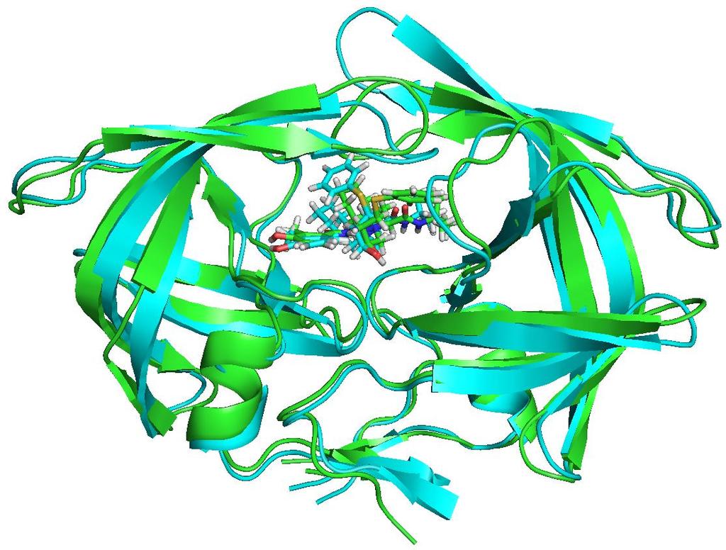 51 Figura 21: Sobreposição da estrutura da protease do HIV-1 com a mutação D30N (em verde) e com a dupla mutação D30N_I84A (em azul).