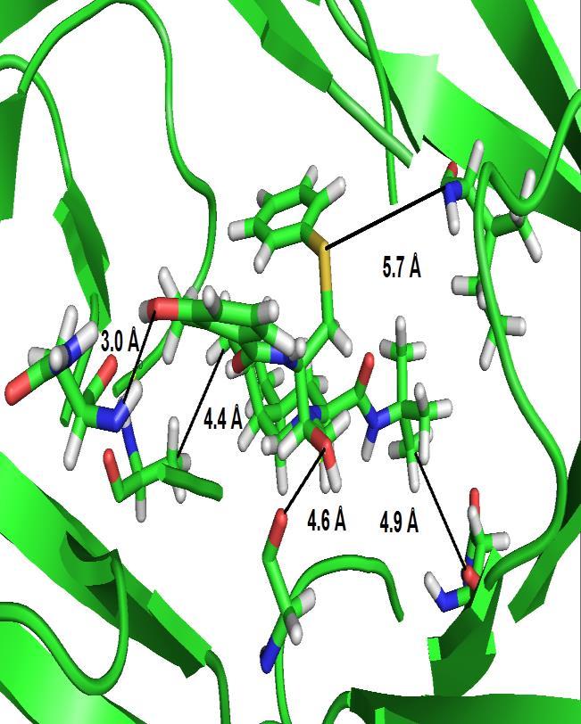 60 D30N_I84A D30N_I84A_M46I Figura 30: Cavidade do sítio ativo da Protease do HIV-1 e suas principais interações com o Inibidor Nelfinavir 1OHR Aminoácidos (Átomo) Ligante (Átomo) Distância