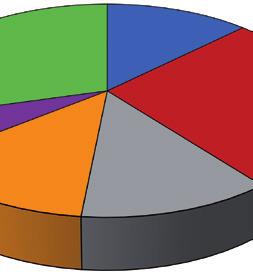 Gráfico 1 Distribuição dos óbitos infantis, segundo principais 1 Neonatal