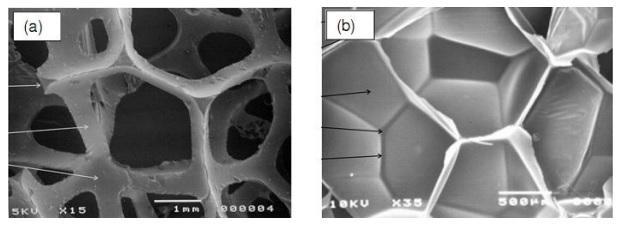 Figura 3 Micrografias de células de espuma flexível (a) e fechadas (b) Fonte: Oliveira (2010).