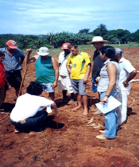 INFORMAL SEGURANÇA ALIMENTAR SOBERANIA ALIMENTAR 4.