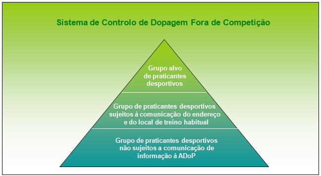 Relativamente às modalidades coletivas, no final de 2013 estavam inseridas 74 equipas, em comparação com as 72 equipas que estavam inseridas no grupo alvo no final de 2012.