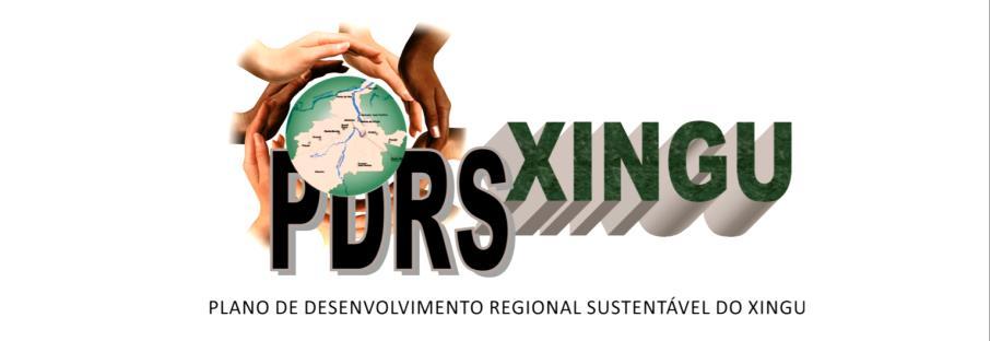 Comitê Gestor do Plano de Desenvolvimento Regional Sustentável do Xingu CGDEX.