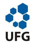 1160/2013) O Reitor da Universidade Federal de Goiás, no uso de suas atribuições regimentais, tendo em vista o disposto na Lei nº 9394/96 (LDB), de 20/12/96, no Regimento Geral da UFG, no Regulamento