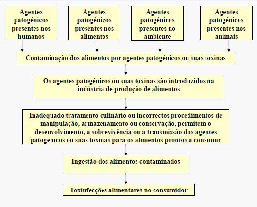 1.7. Toxinfeções Alimentares vs Alimentos de risco Na maioria dos casos, as doenças de origem alimentar ocorrem como resultado do consumo de alimentos de risco, tais como: Marisco cru Produtos à base