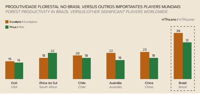 mostra a grande diferença de capacidade produtiva do Brasil em relação aos Países citados. FIGURA 02 - Comparativo de Produção do Brasil. Fonte: Ibá, 2015.