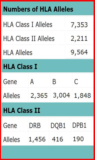 Number of HLA Alleles described 08/2013