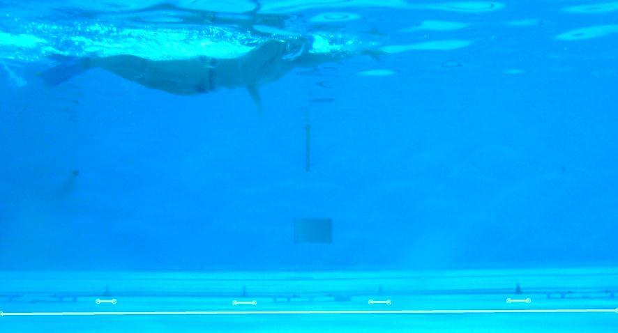 informar visualmente os nadadores da velocidade de nado a ser executada.