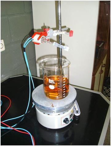 béquer de vidro de 1000 ml, com sistema de agitação magnética, lâmpada com potência de 250 W (General Eletric) sem o bulbo de vidro protetor e caixa protetora para impedir a passagem da luz UV,