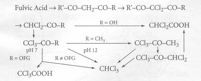 9 Nota: OFG = grupo funcional oxidável. FIGURA 3 Modelo conceitual generalizado para a formação de SOH a partir dos AF (RECKHOW; SINGER, 1985).