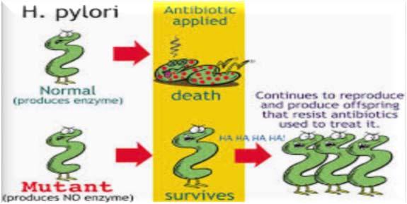 Assim, uma bactéria é considerada resistente a determinado antibiótico quando continua a multiplicar-se na presença de níveis