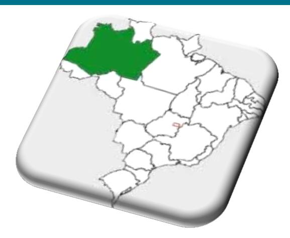 Literatus Mercado de Manaus O estado de AM é o 13º maior mercado de IES privada em matrículas e 11º em ingressantes.