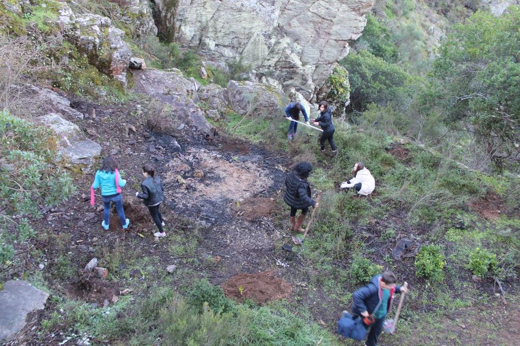 8 3. Promover a qualidade e contribuir para as políticas de ordenamento na área do Ambiente, da Agricultura e da Floresta; A AGA preza por princípios de qualidade e nesse sentido tem os seus