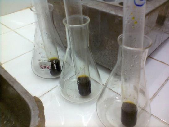 26 por 30 minutos a 170º C. Os extratos obtidos foram titulados com sulfato ferroso amoniacal utilizando ferroin com indicador (figura 12). Figura 12 Análise do carbono orgânico total (COT).