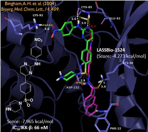 timização estrutural de LASSBio-1524: Gênese do protótipo inibidor de IKK LASSBio-1829 LASSBio-1829 LASSBio-1829.Cl IC 50 = 3.