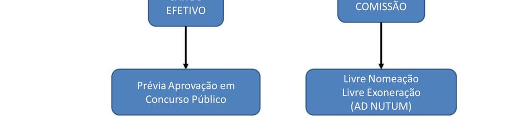 É a passagem de nível do servidor, dentro da mesma carreira. A EC 19/98 trouxe como requisito prévio à promoção, a participação em cursos de formação e aperfeiçoamento em escolas de governo (art.