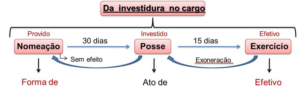 O exercício do cargo decorre da posse. O funcionário passa a desempenhar legalmente suas funções, adquire direitos e recebe à contraprestação pecuniária (dinheiro). Segundo o art. 15, da Lei 8.