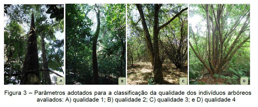 Projetos de avaliação QM áreas restauração e plantios (homogêneos, consórcios,.