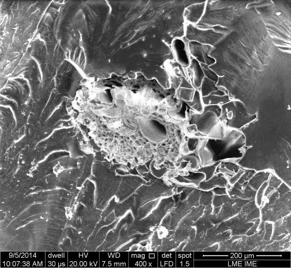 Além disso, observa-se que as marcas de rio apresentam ponto de iniciação na interface fibra/matriz indicando que as fibras não aturam como um agente de reforço efetivo.
