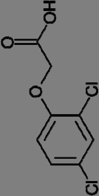 INDOL-3-ACÉTICO (AIA) ÁCIDO