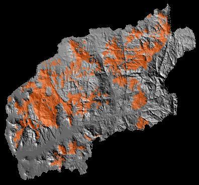 3. Os espaços florestais no Alto Minho 3.2.