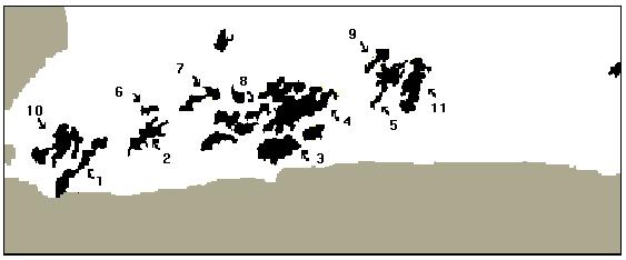 24 Efeitos da Fragmentação Florestal sobre o Sistema de Reprodução e a Imigração de remanescentes populacionais da espécie: Serra do Macaco, Serra do Silvado e Serra da Boa Esperança (Figura 2).