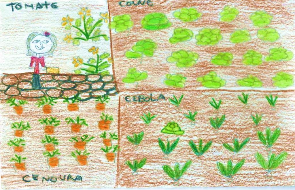 A Joaninha estava surpreendida com aquela bonita planta, que crescia na sua horta e que ela não se lembrava de ter semeado. Descobriu então que era uma alface. Mas, quem a semeara ali?