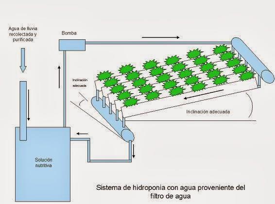 HIDROPONIA hidroponia é a técnica de cultivar plantas sem solo, onde as raizes recebem uma solução