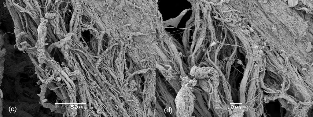 não foi constatado nenhum sinal de lesão nas camadas mais interiores do tecido. Durante o ensaio de durabilidade a primeira falha ocorreu com 329 milhões de ciclos.