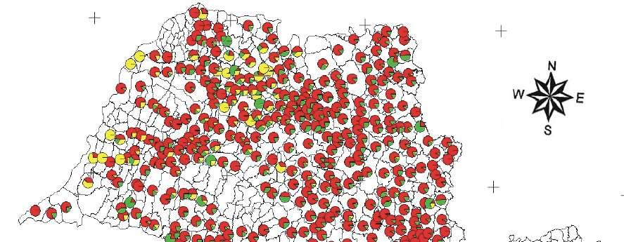 Proporção de cana safra