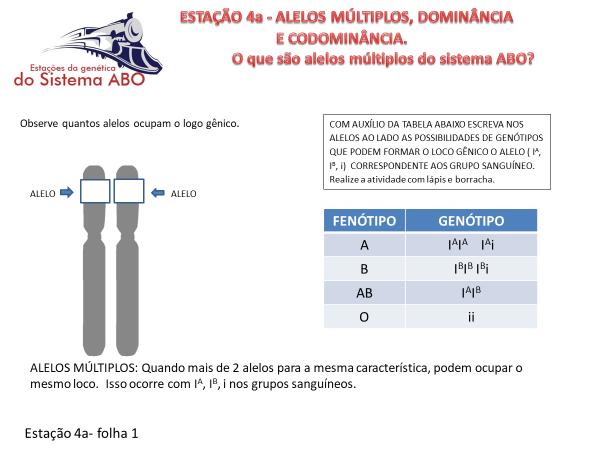 ESTAÇÃO 4a- FOLHA 1 Folha 1 - contendo as