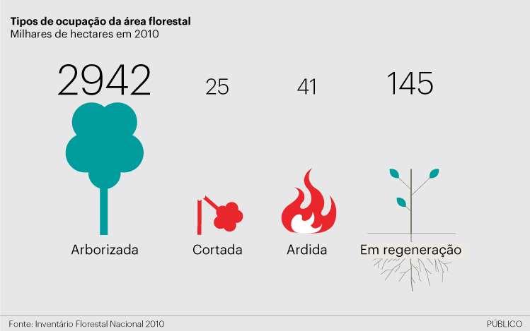 O valor económico das florestas: