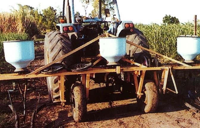 Introdução inundativa na Austrália Controle de Escarabeídeos da cana Metarhizium