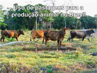 Origem da pecuária bovina no Brasil Primeiros bovinos introduzidos da Ilha da Madeira,